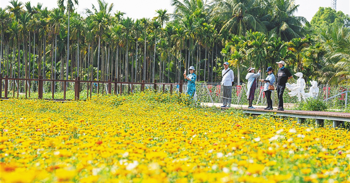 博鳌花海迎宾客