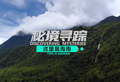 这里是海南 秘境寻踪