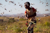 马达加斯加对抗蝗灾（高清组图）
