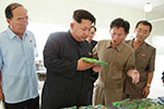 金正恩视察平壤大庆紫菜加工厂