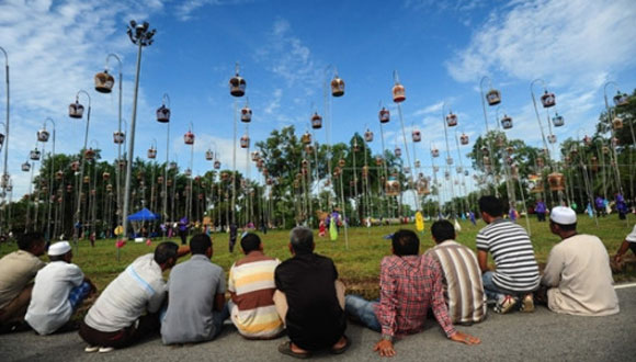 泰国举办鸟儿歌唱比赛 上千只鸟同场拼歌技