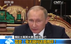 普京：毫无疑问这是挑衅！