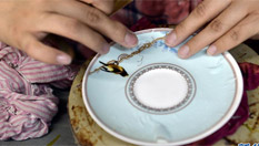 小瓷器连接大世界&mdash;&mdash;淄博篇