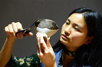 自学金缮修复 &ldquo;90后&rdquo;女孩让瓷器重生