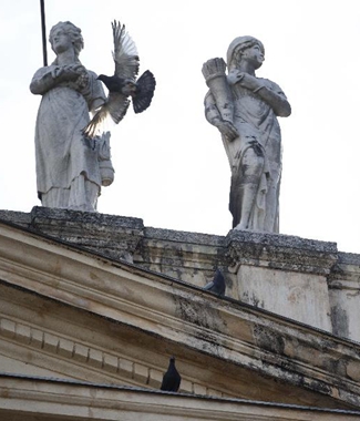 法国向巴西国博伸援手