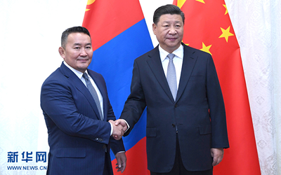 习近平会见蒙古国总统