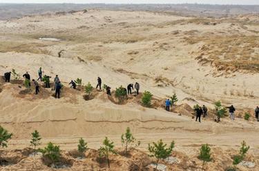 给科尔沁沙地披&ldquo;绿装&rdquo;