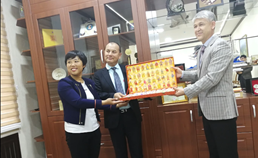 中国-中亚峰会｜爱种草莓的王倩：将先进种植技术引入乌兹别克斯坦