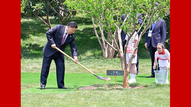 这些年，习近平主席种下这些友谊之树