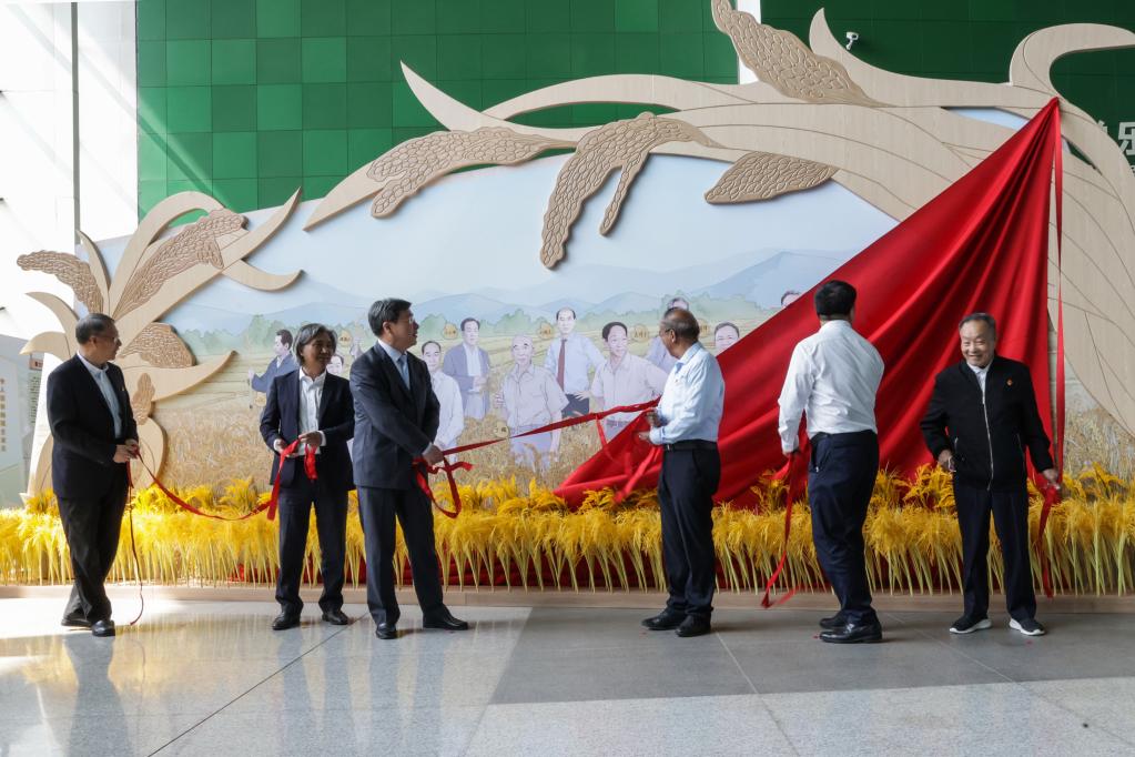 &ldquo;中国攻克杂交水稻难关50周年&rdquo;展览在京开幕