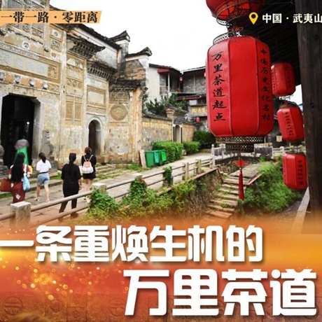 一带一路&middot;零距离｜一条重焕生机的万里茶道