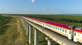 新华视点丨大道无垠 共同繁荣