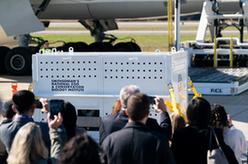 旅美大熊猫&ldquo;美香&rdquo;一家三口启程回国