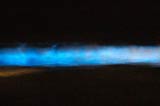 悉尼海滩现神秘蓝光 浮游海中犹如仙境