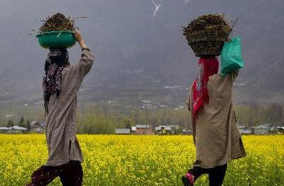 2015年这世界的春天（高清）