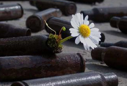 盘点逆境中生长的植物:子弹壳中开花 车灯里长苔(组图)