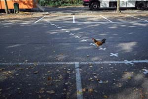 欧洲隐形国界线 居民随时能&ldquo;出国&rdquo;（高清组图）