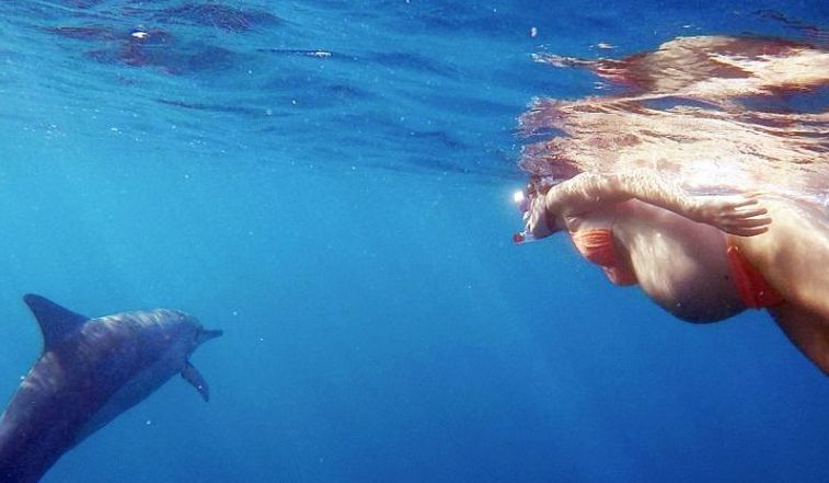 美国女子海中分娩让海豚助产 将在电视上直播