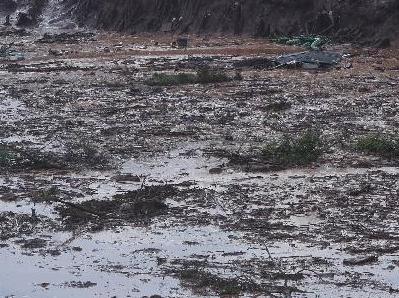 巴西发生水坝坍塌事故　