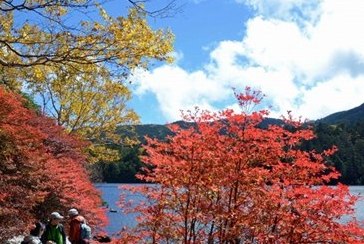 品味日本秋景：层林尽染映古刹 清溪修竹意蕴浓