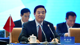 刘奇葆在首届金砖国家媒体峰会发表致辞