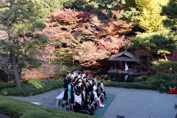 日本东京：入冬时节，秋意盎然（高清）