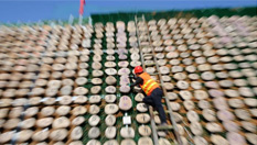 迎老子诞辰 王屋山5000余原石刻出百米《道德经》