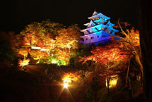 岐阜县的郡上八幡城