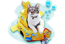 猫咪新礼物：纸板潜艇