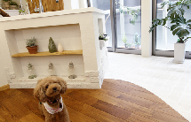 老屋换新颜 日本80平原木清新公寓设计