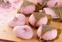 日本京都赏樱一日游攻略