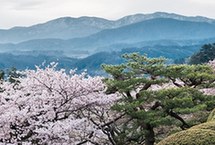 四月芳菲赏不尽 世界上最适合赏花的地方