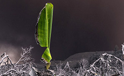 摄影师环球40次追逐极端自然美景(组图)