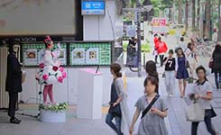 日本连衣裙会&ldquo;开花&rdquo;