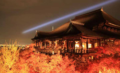 值得一去的京都景点