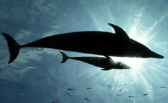 一周看天下（7月19日-7月25日）