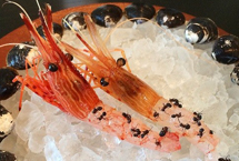 奇葩美食:日本暗黑料理