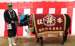 三重县美食：松阪牛肉