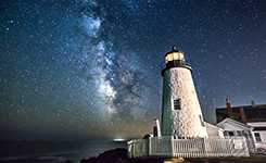 海豹抢镜璀璨银河系