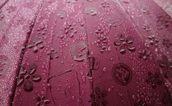 摆脱平庸！日本魔幻伞 下雨前后两个样(图)