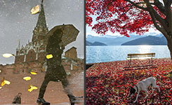 秋季：跟着美景去旅行