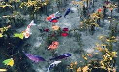 日本梦幻池塘美如画