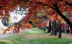 北半球之秋 醉人之绚