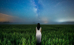 索尼世界摄影大赛