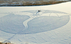 雪地画家:走出的艺术