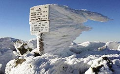 社交媒体最受欢迎图片