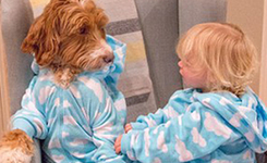 宠物犬萌娃穿同款服装