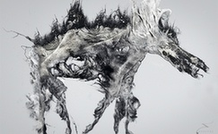 有视觉冲击力的插画赏