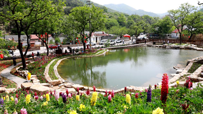 休闲、教育、养老&hellip;&hellip;&ldquo;三农&rdquo;变化之农业新功能